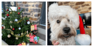 joyeuses-fetes-J2S